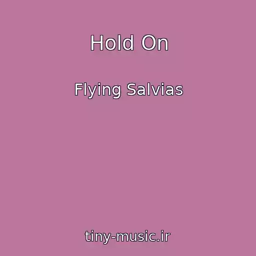 کاور آهنگ Hold On از Flying Salvias