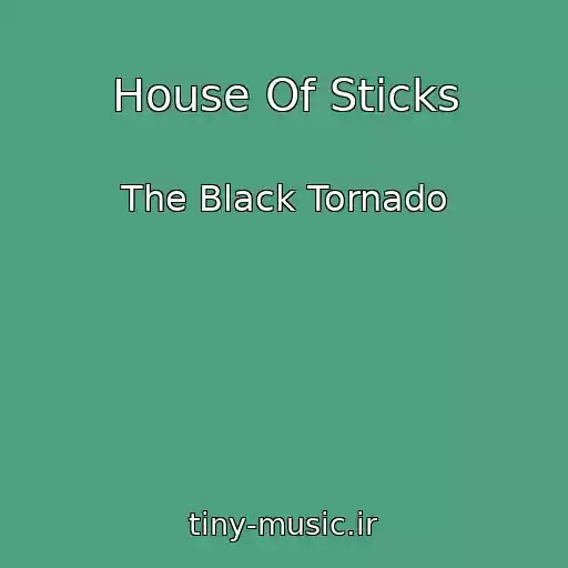 کاور آهنگ House Of Sticks از The Black Tornado