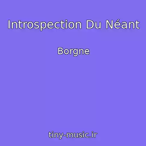 کاور آهنگ Introspection Du Néant از Borgne