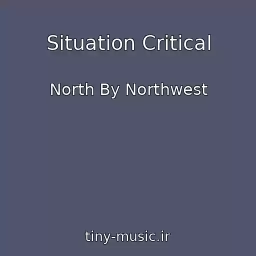 کاور آهنگ Situation Critical از North By Northwest