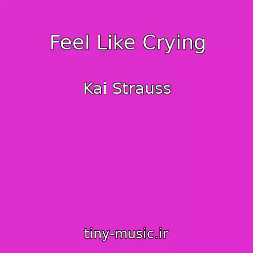 کاور آهنگ Feel Like Crying از Kai Strauss