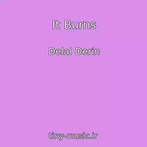 کاور آهنگ It Burns از Delal Derin