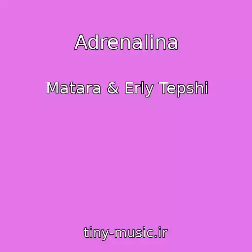 کاور آهنگ Adrenalina از Matara & Erly Tepshi