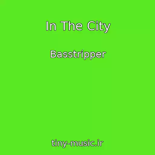 کاور آهنگ In The City از Basstripper