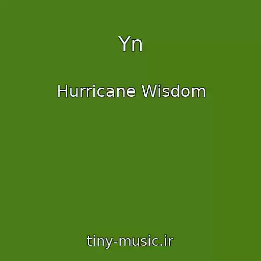 کاور آهنگ Yn از Hurricane Wisdom