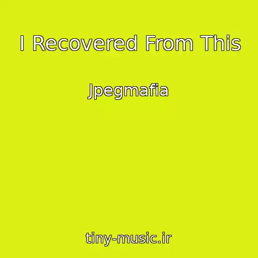 کاور آهنگ I Recovered From This از Jpegmafia
