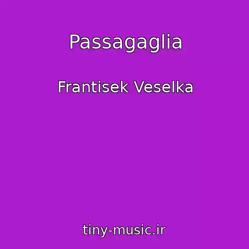 کاور آهنگ Passagaglia از Frantisek Veselka