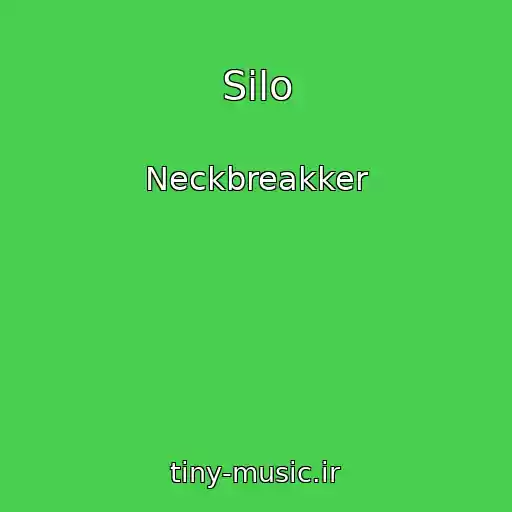 کاور آهنگ Silo از Neckbreakker