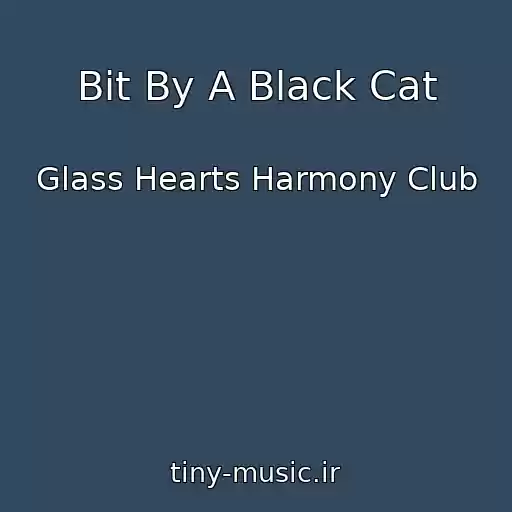 کاور آهنگ Bit By A Black Cat از Glass Hearts Harmony Club