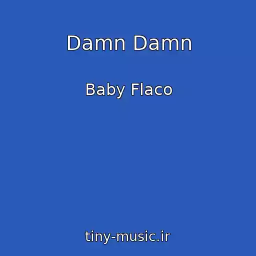 کاور آهنگ Damn Damn از Baby Flaco