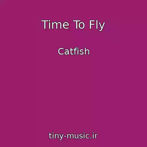 کاور آهنگ Time To Fly از Catfish