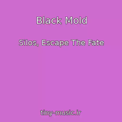 کاور آهنگ Black Mold از Silos, Escape The Fate