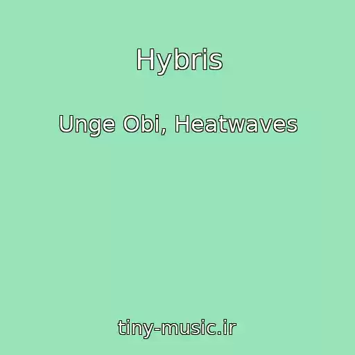 کاور آهنگ Hybris از Unge Obi, Heatwaves