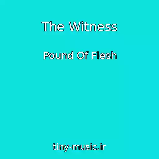 کاور آهنگ The Witness از Pound Of Flesh