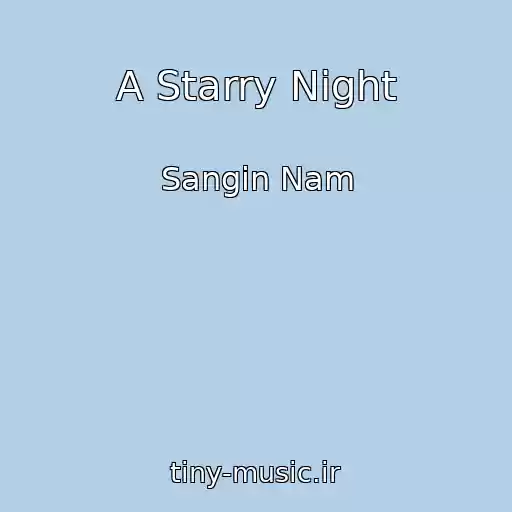 کاور آهنگ A Starry Night از Sangin Nam