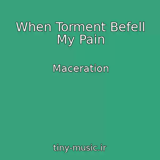 کاور آهنگ When Torment Befell My Pain از Maceration