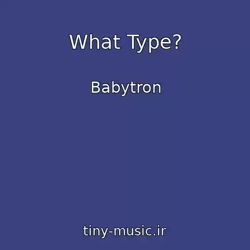 کاور آهنگ What Type? از Babytron