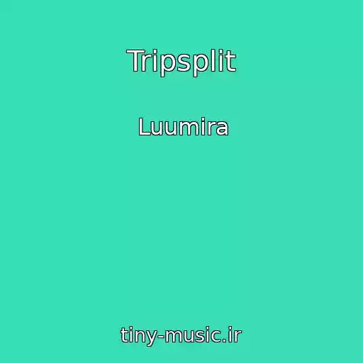 کاور آهنگ Tripsplit از Luumira