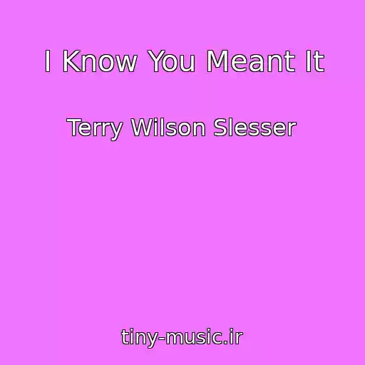 کاور آهنگ I Know You Meant It از Terry Wilson Slesser