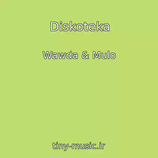 کاور آهنگ Diskoteka از Wawda & Mulo