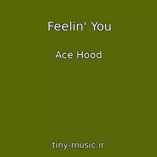 کاور آهنگ Feelin' You از Ace Hood
