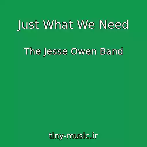 کاور آهنگ Just What We Need از The Jesse Owen Band