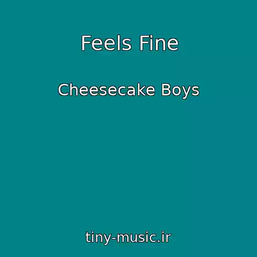کاور آهنگ Feels Fine از Cheesecake Boys
