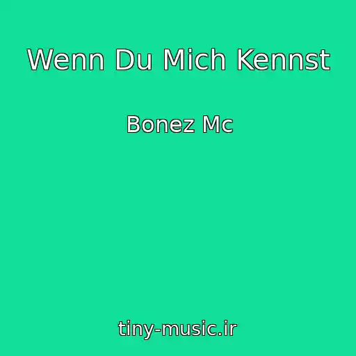 کاور آهنگ Wenn Du Mich Kennst از Bonez Mc