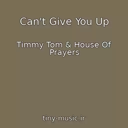 کاور آهنگ Can't Give You Up از Timmy Tom & House Of Prayers