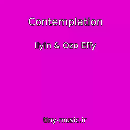 کاور آهنگ Contemplation از Ilyin & Ozo Effy
