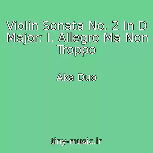 کاور آهنگ Violin Sonata No. 2 In D Major: I. Allegro Ma Non Troppo از Aka Duo