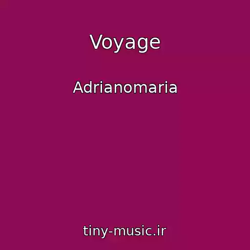 کاور آهنگ Voyage از Adrianomaria