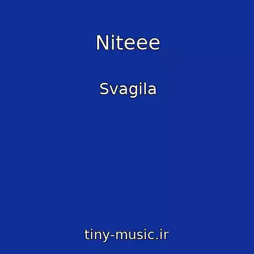 کاور آهنگ Niteee از Svagila