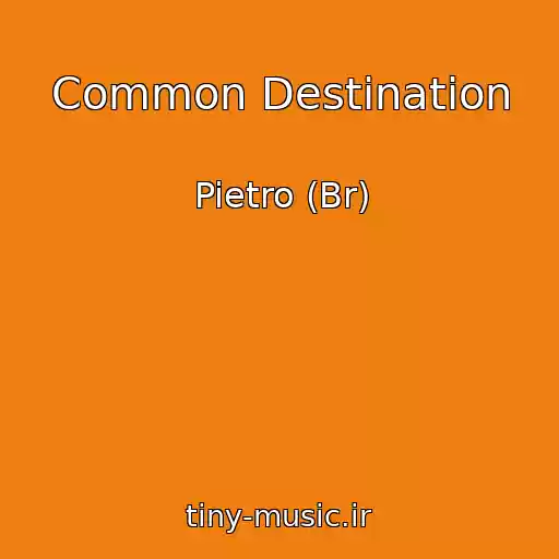 کاور آهنگ Common Destination از Pietro (Br)