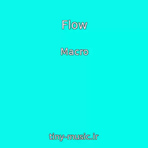 کاور آهنگ Flow از Macro