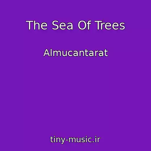 کاور آهنگ The Sea Of Trees از Almucantarat