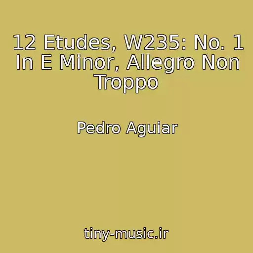 کاور آهنگ 12 Etudes, W235: No. 1 In E Minor, Allegro Non Troppo از Pedro Aguiar