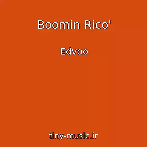 کاور آهنگ Boomin Rico' از Edvoo