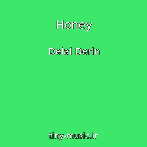 کاور آهنگ Honey از Delal Derin