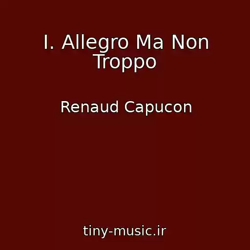 کاور آهنگ I. Allegro Ma Non Troppo از Renaud Capucon