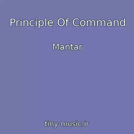 کاور آهنگ Principle Of Command از Mantar