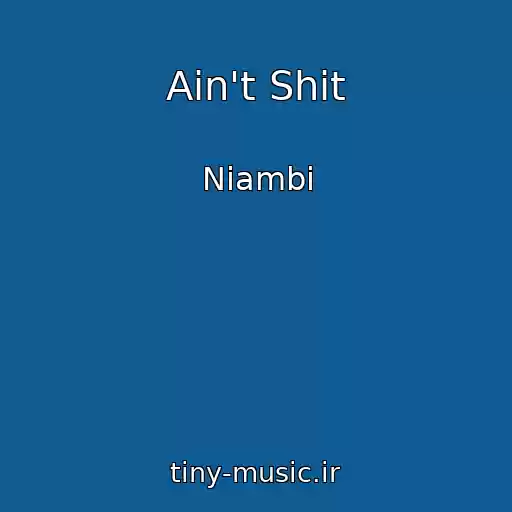 کاور آهنگ Ain't Shit از Niambi