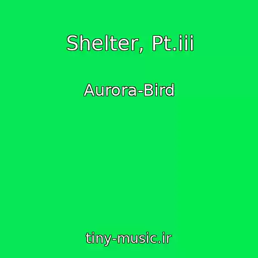 کاور آهنگ Shelter, Pt.iii از Aurora-Bird