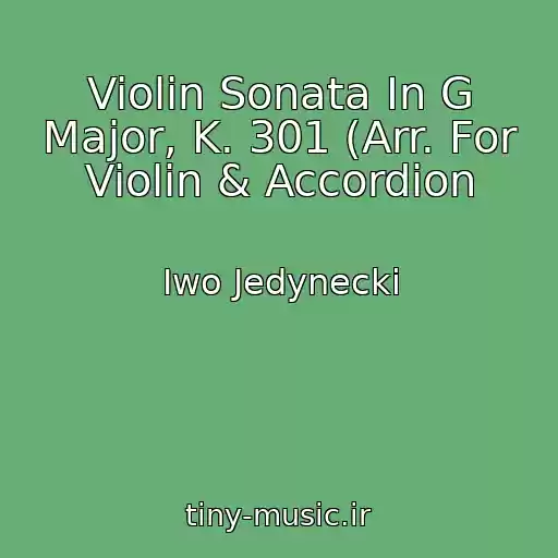 کاور آهنگ Violin Sonata In G Major, K. 301 (Arr. For Violin & Accordion از Iwo Jedynecki