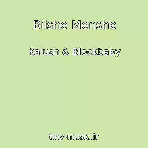 کاور آهنگ Bіlshe Menshe از Kalush & Blockbaby