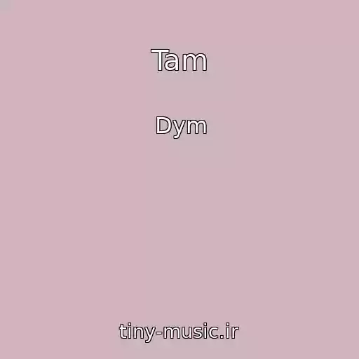 کاور آهنگ Tam از Dym