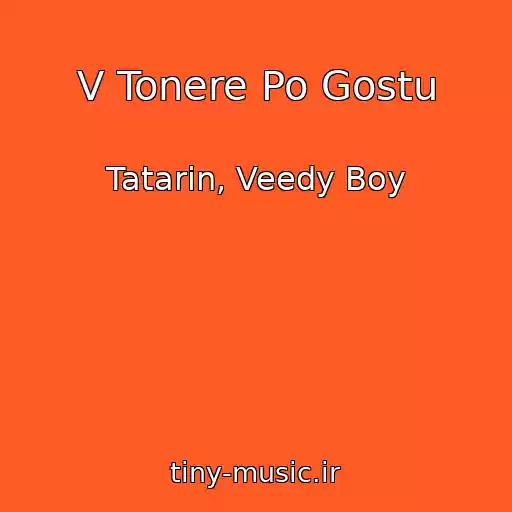کاور آهنگ V Tonere Po Gostu از Tatarin, Veedy Boy