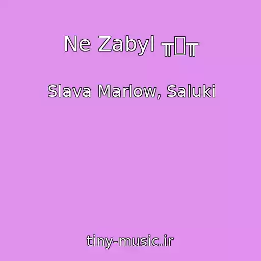 کاور آهنگ Ne Zabyl ╥﹏╥ از Slava Marlow, Saluki