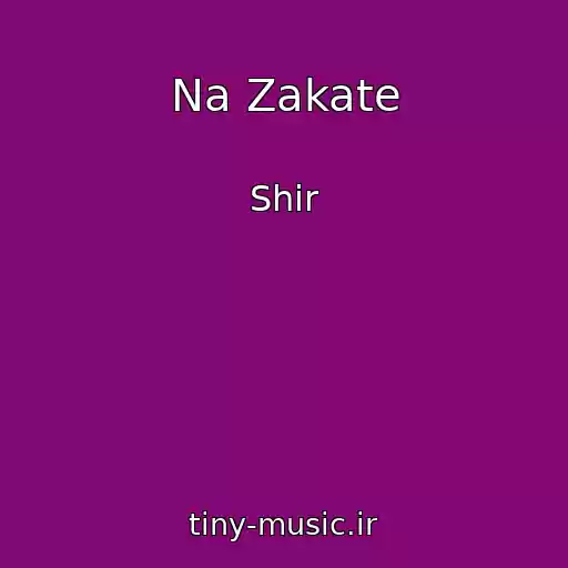 کاور آهنگ Na Zakate از Shir