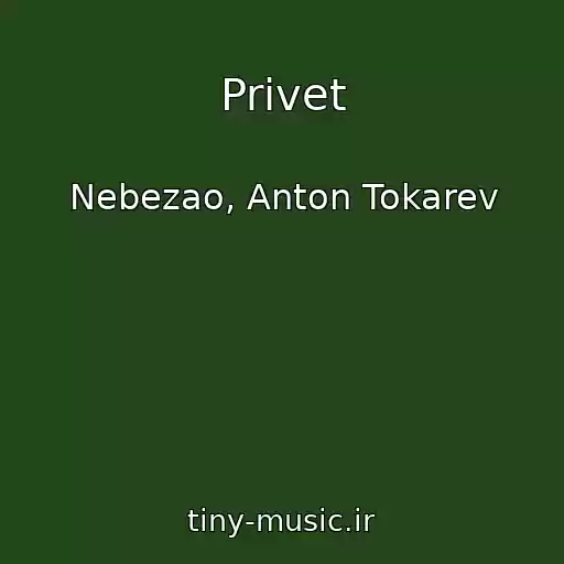 کاور آهنگ Privet از Nebezao, Anton Tokarev